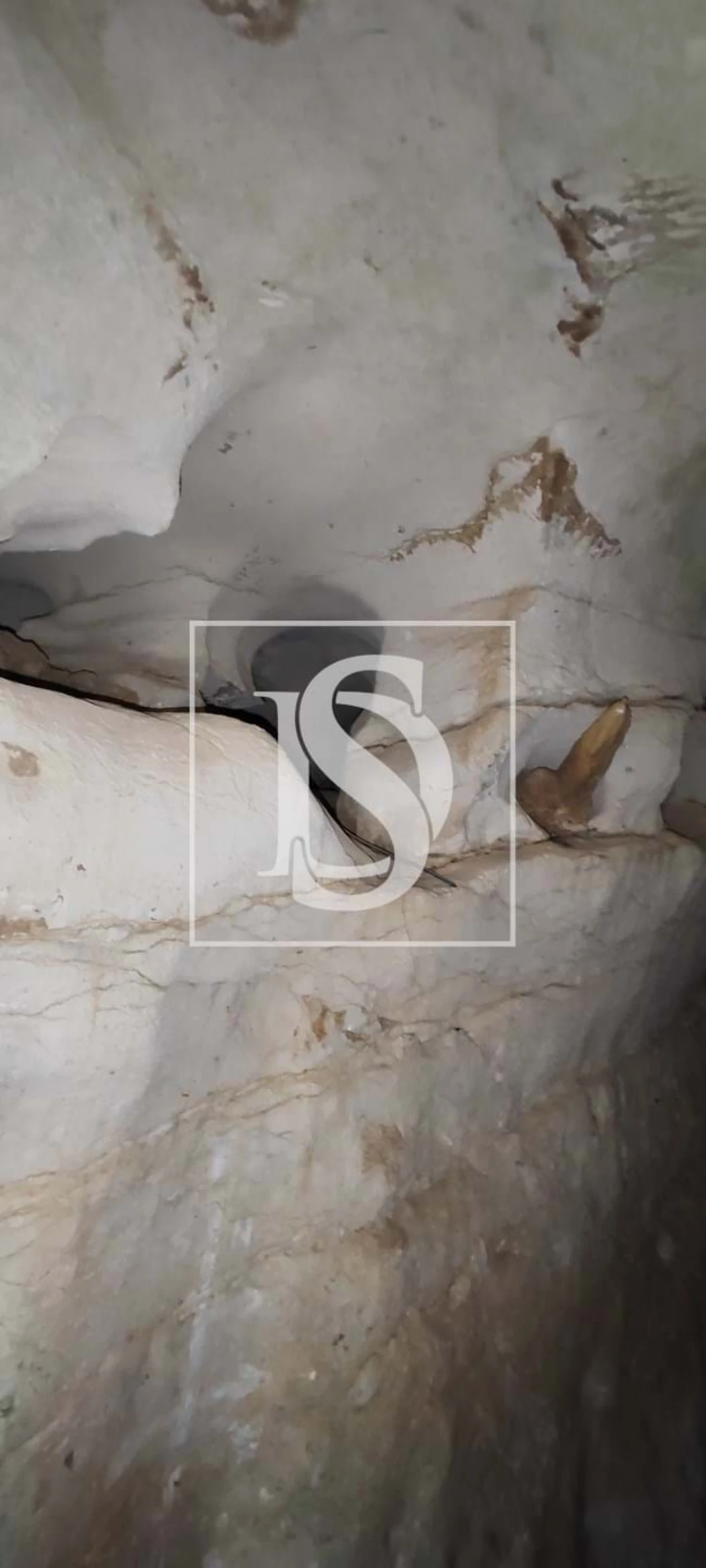 Terreno para Venda em Reguengo Grande Foto 69