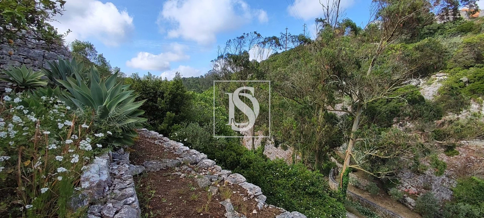 Terreno para Venda em Reguengo Grande Foto 41