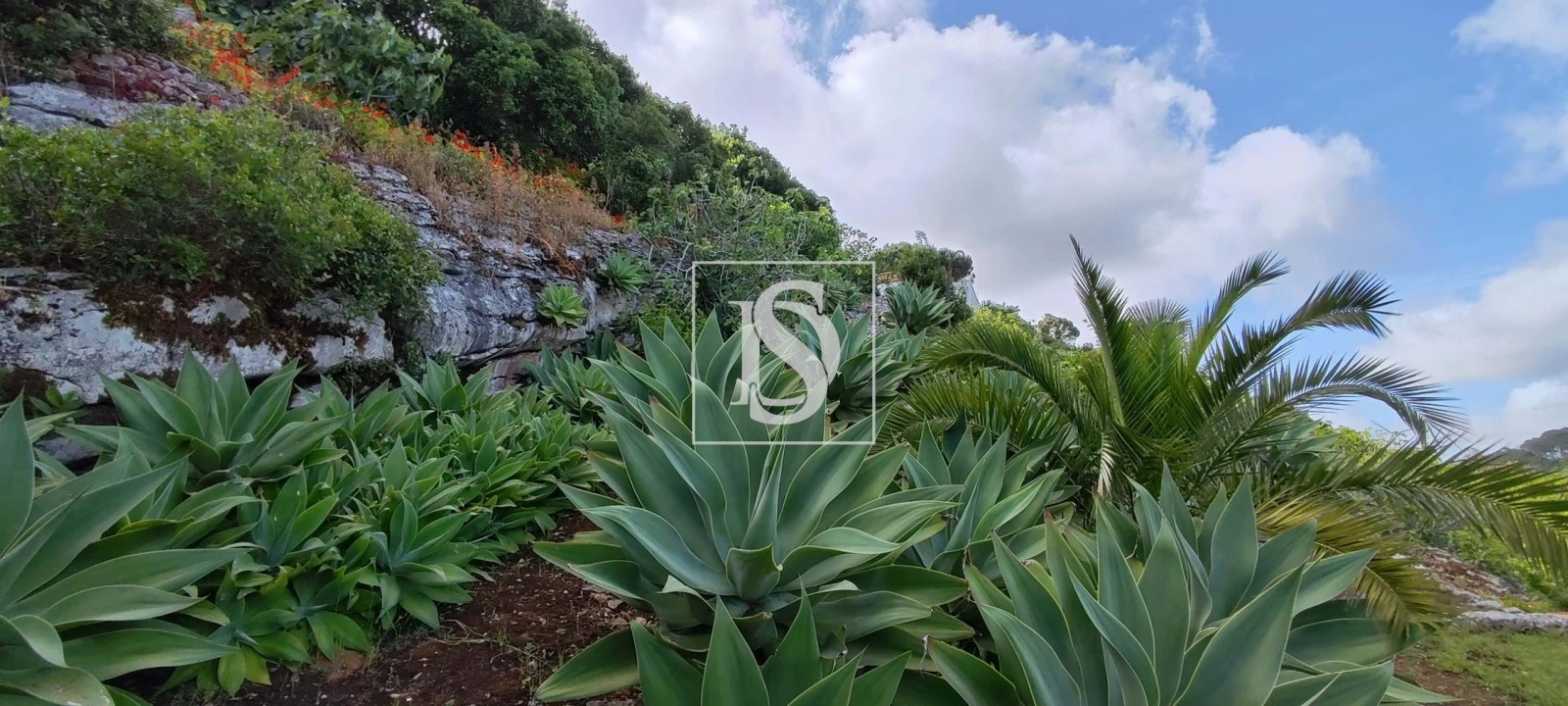 Terreno para Venda em Reguengo Grande Foto 43