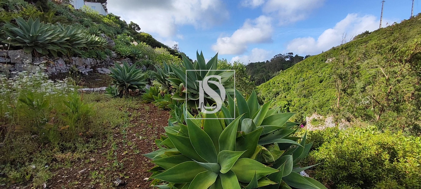 Terreno para Venda em Reguengo Grande Foto 44
