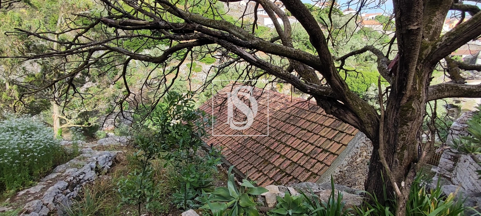 Terreno para Venda em Reguengo Grande Foto 56