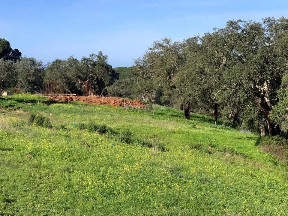 Terreno para Venda em Melides Foto 11