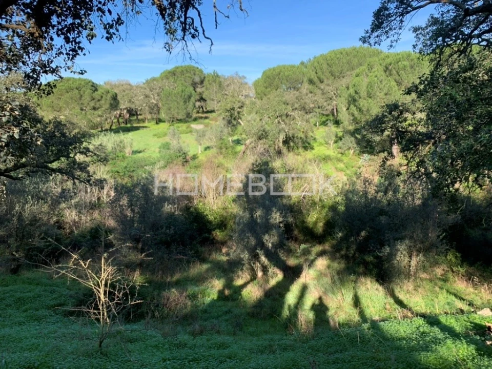 Terreno para Venda em Melides Foto 6