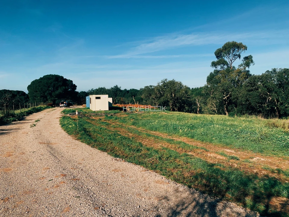 Terreno para Venda em Melides Foto 10