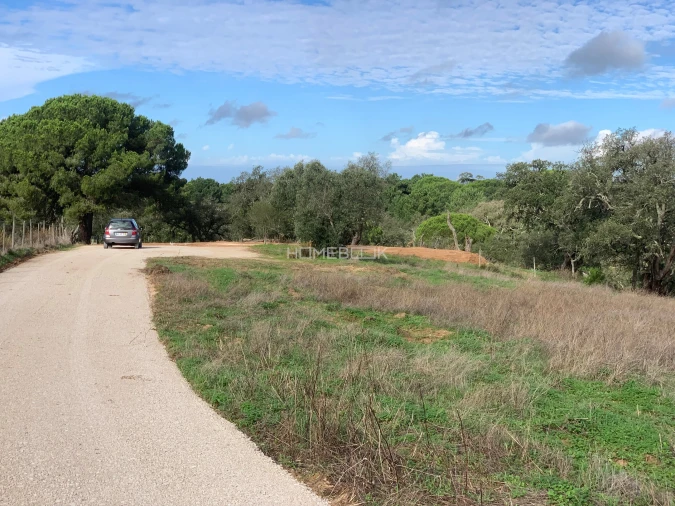 Terreno para Venda em Melides Foto 9