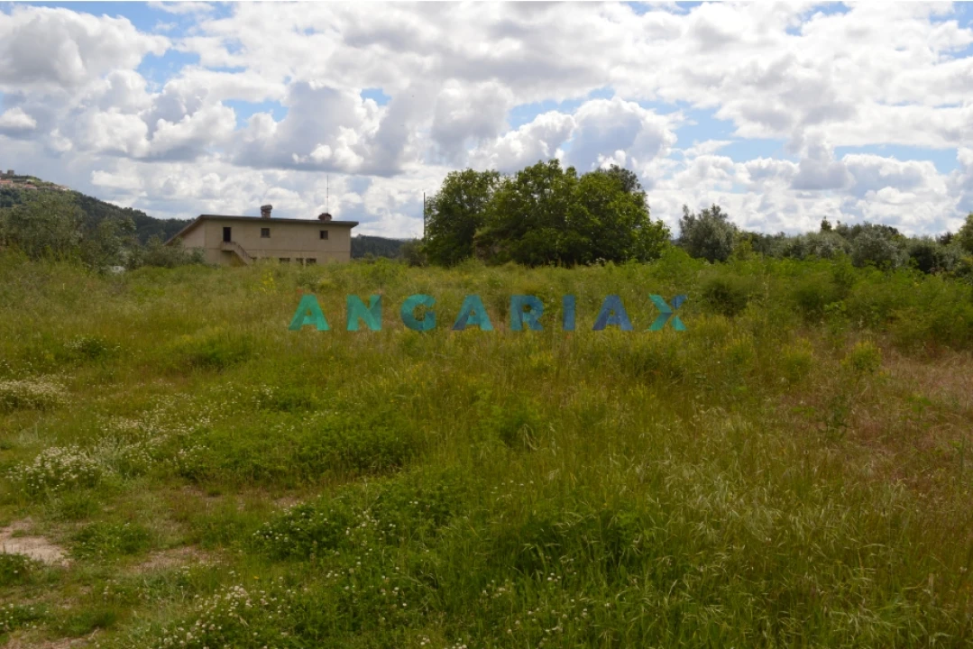 Terreno para Venda em Nossa Senhora da Piedade Foto 7