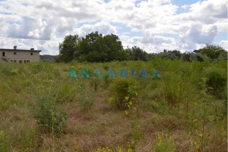 Terreno para Venda em Nossa Senhora da Piedade Foto 6