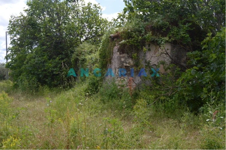 Terreno para Venda em Nossa Senhora da Piedade Foto 4