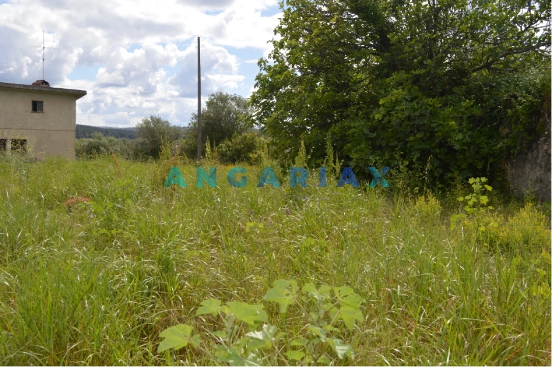 Terreno para Venda em Nossa Senhora da Piedade Foto 10