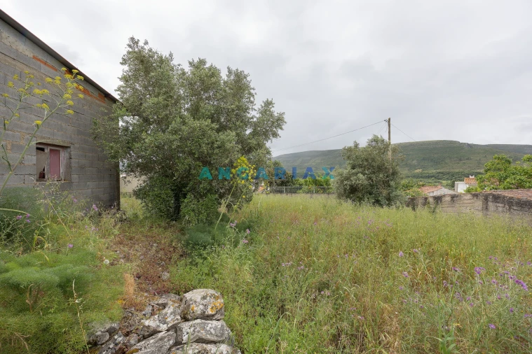 Armazém para Venda em Alvados e Alcaria Foto 8