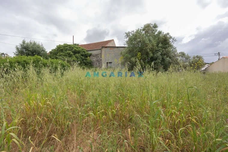Armazém para Venda em Alvados e Alcaria Foto 10