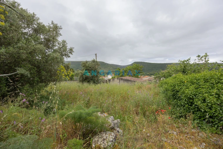 Armazém para Venda em Alvados e Alcaria Foto 7