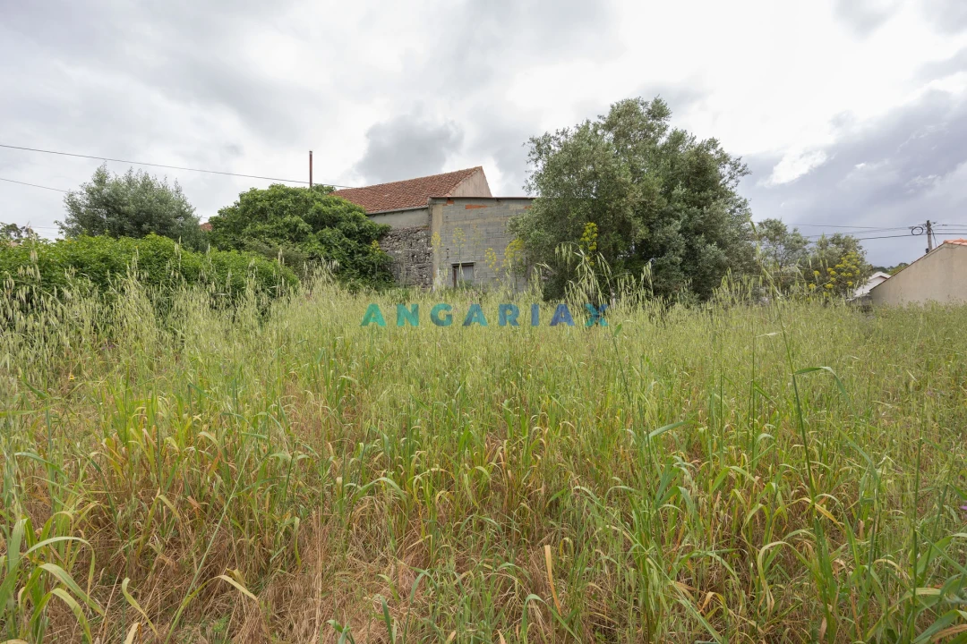 Armazém para Venda em Alvados e Alcaria Foto 10