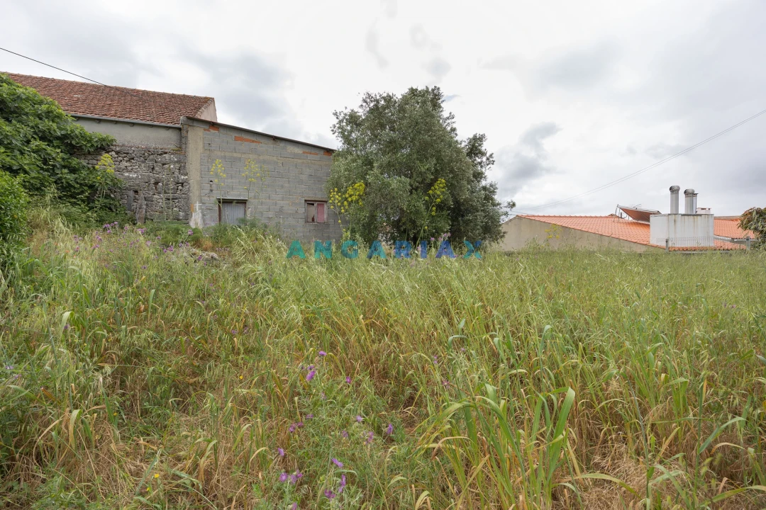Armazém para Venda em Alvados e Alcaria Foto 9
