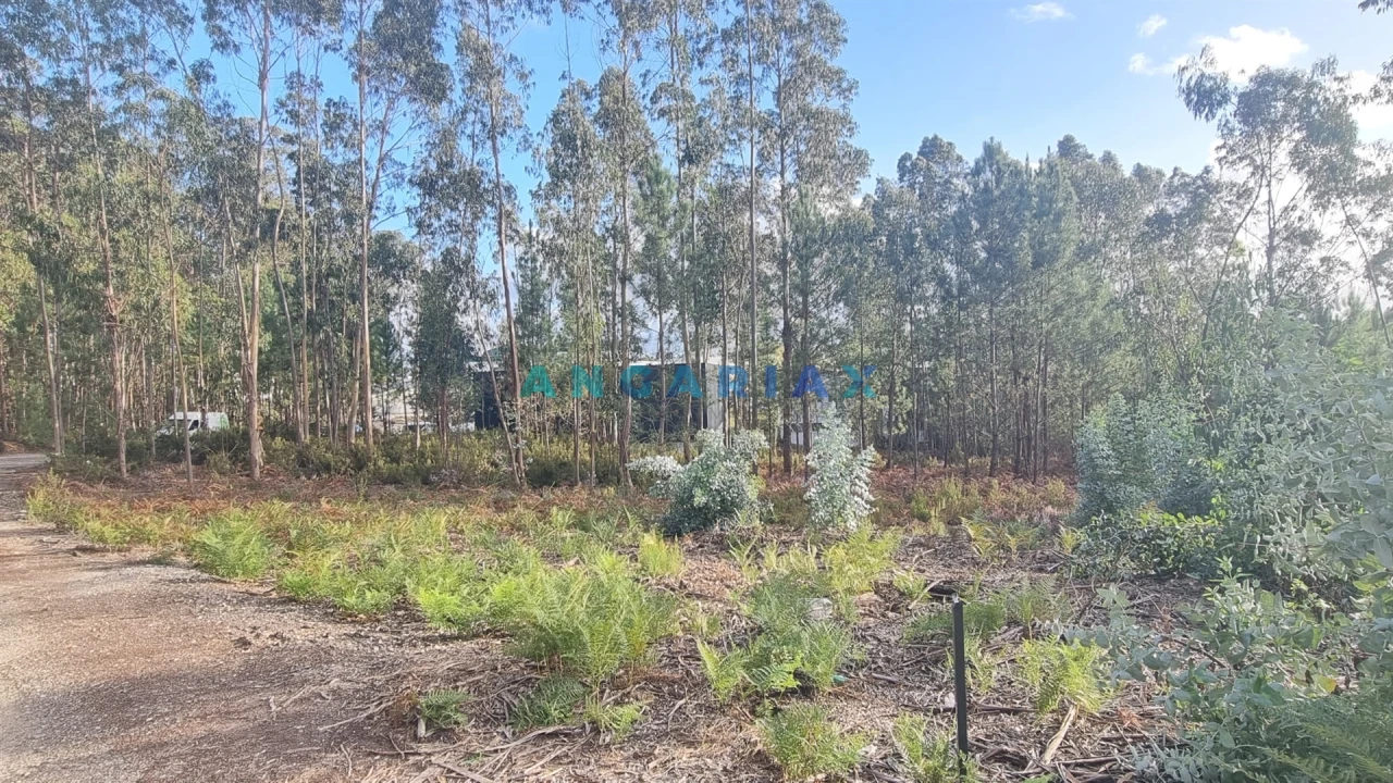 Terreno Comércio / Armazém para Venda em Marrazes e Barosa Foto 4