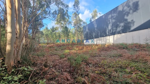 Terreno Comércio / Armazém para Venda em Marrazes e Barosa