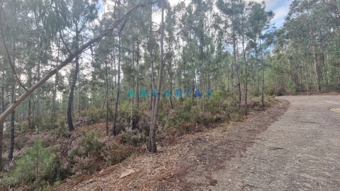 Terreno Comércio / Armazém para Venda em Marrazes e Barosa