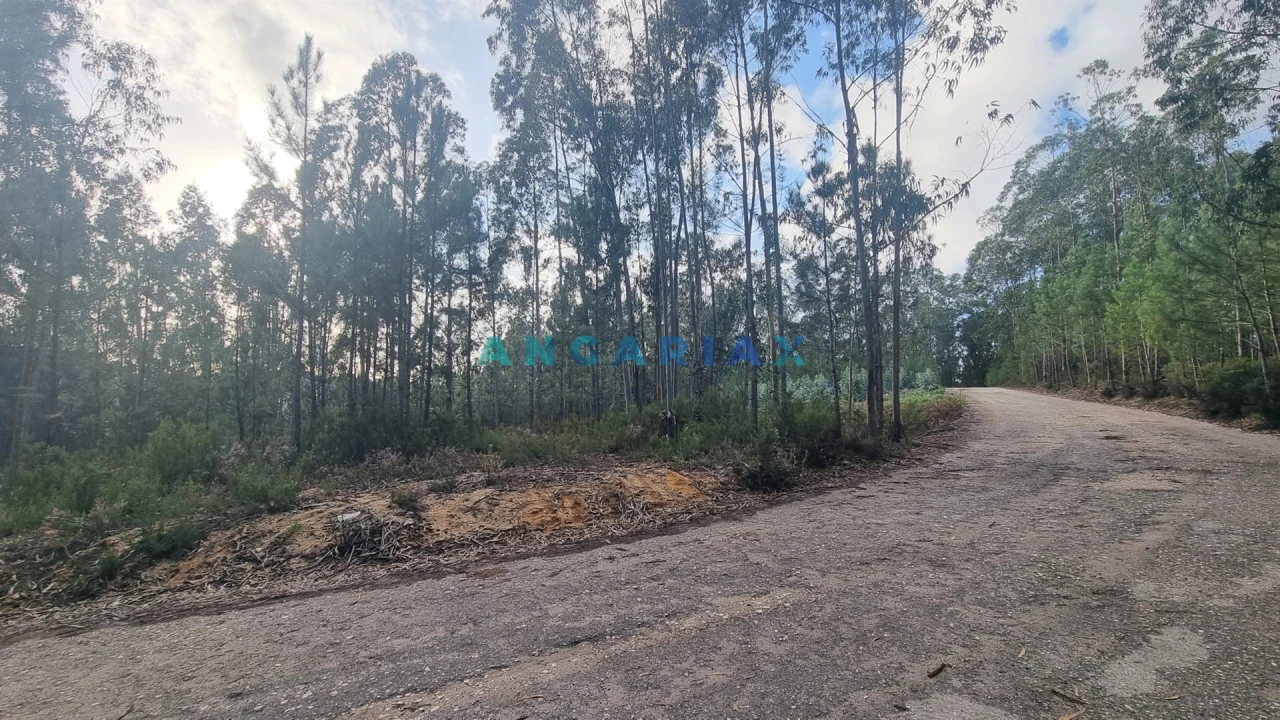 Terreno Comércio / Armazém para Venda em Marrazes e Barosa Foto 6