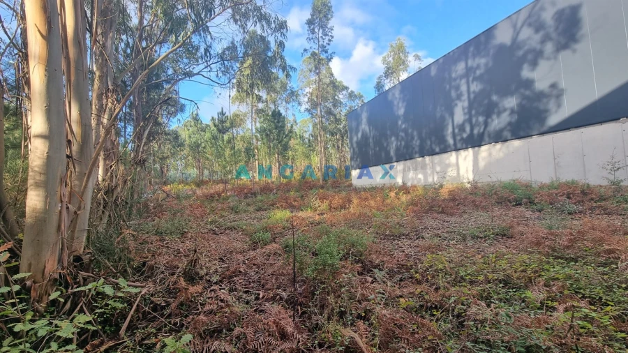 Terreno Comércio / Armazém para Venda em Marrazes e Barosa