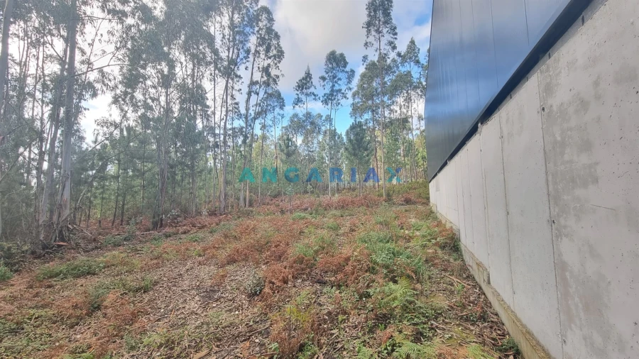 Terreno Comércio / Armazém para Venda em Marrazes e Barosa Foto 8