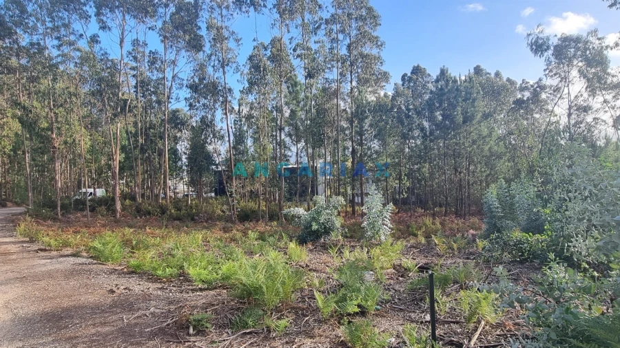 Terreno Comércio / Armazém para Venda em Marrazes e Barosa Foto 3