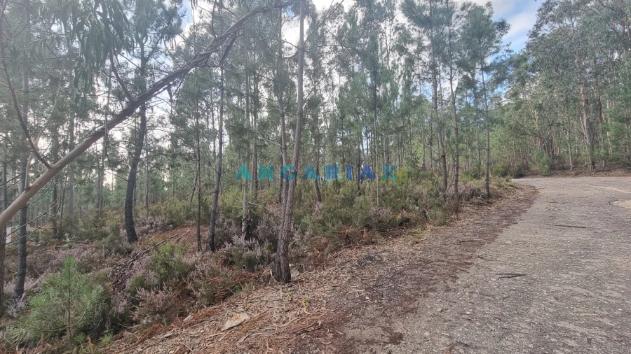 Terreno Comércio / Armazém para Venda em Marrazes e Barosa Foto 7