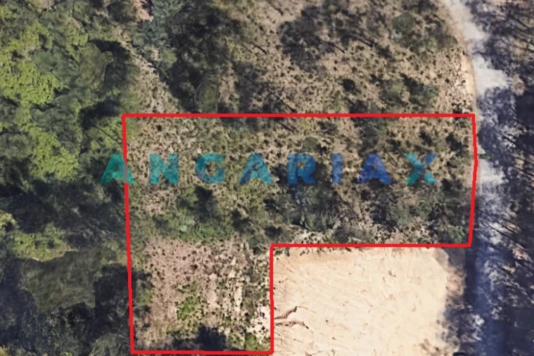 Terreno Comércio / Armazém para Venda em Marrazes e Barosa Foto 2
