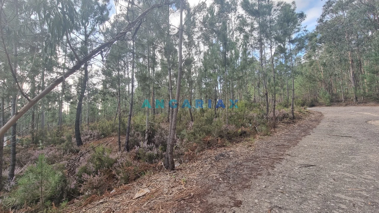 Terreno Comércio / Armazém para Venda em Marrazes e Barosa Foto 7