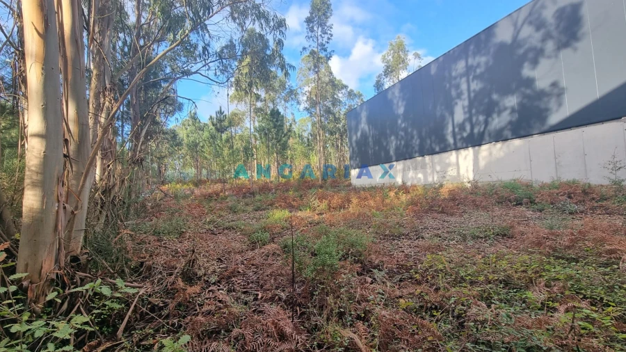 Terreno Comércio / Armazém para Venda em Marrazes e Barosa