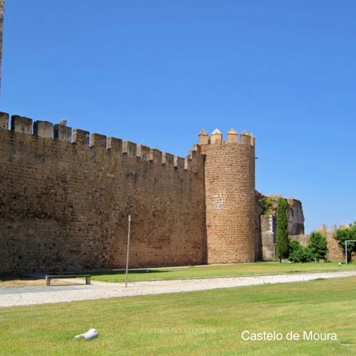 Moradia T1 para Venda em Safara e Santo Aleixo da Restauração Foto 13