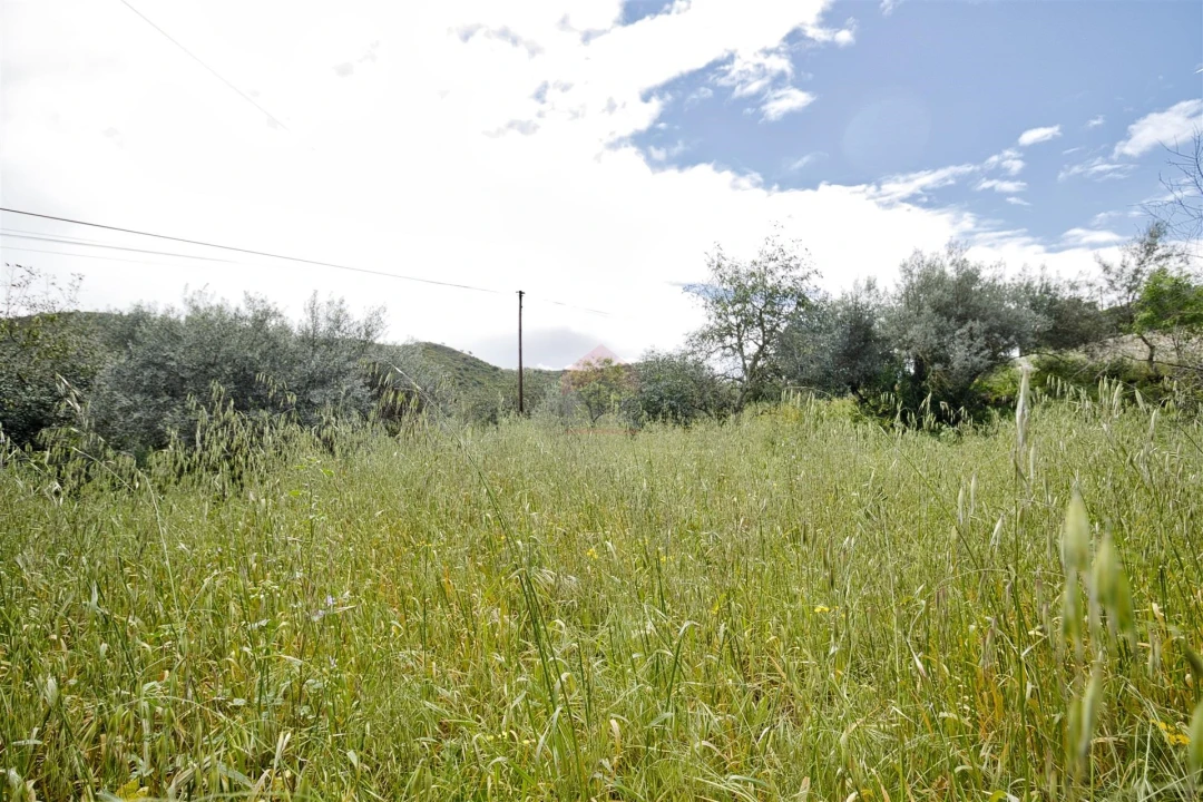 Terreno Agricola ou Rústico para Venda em Alcoutim e Pereiro Foto 6