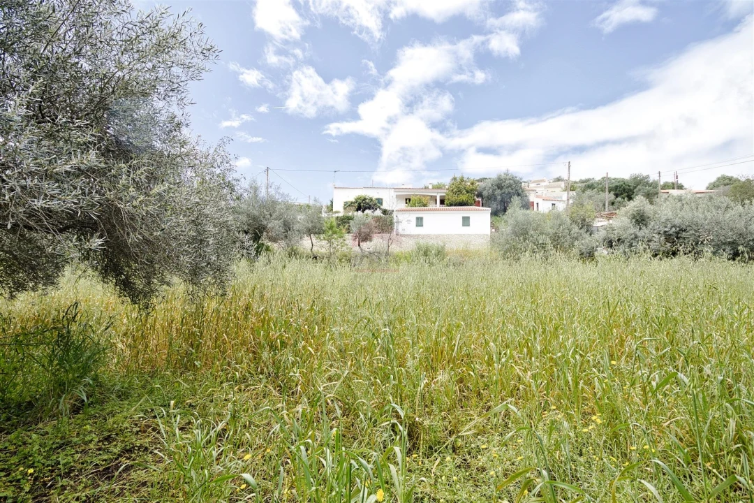 Terreno Agricola ou Rústico para Venda em Alcoutim e Pereiro Foto 1