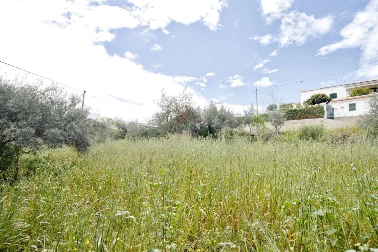 Terreno Agricola ou Rústico para Venda em Alcoutim e Pereiro Foto 4