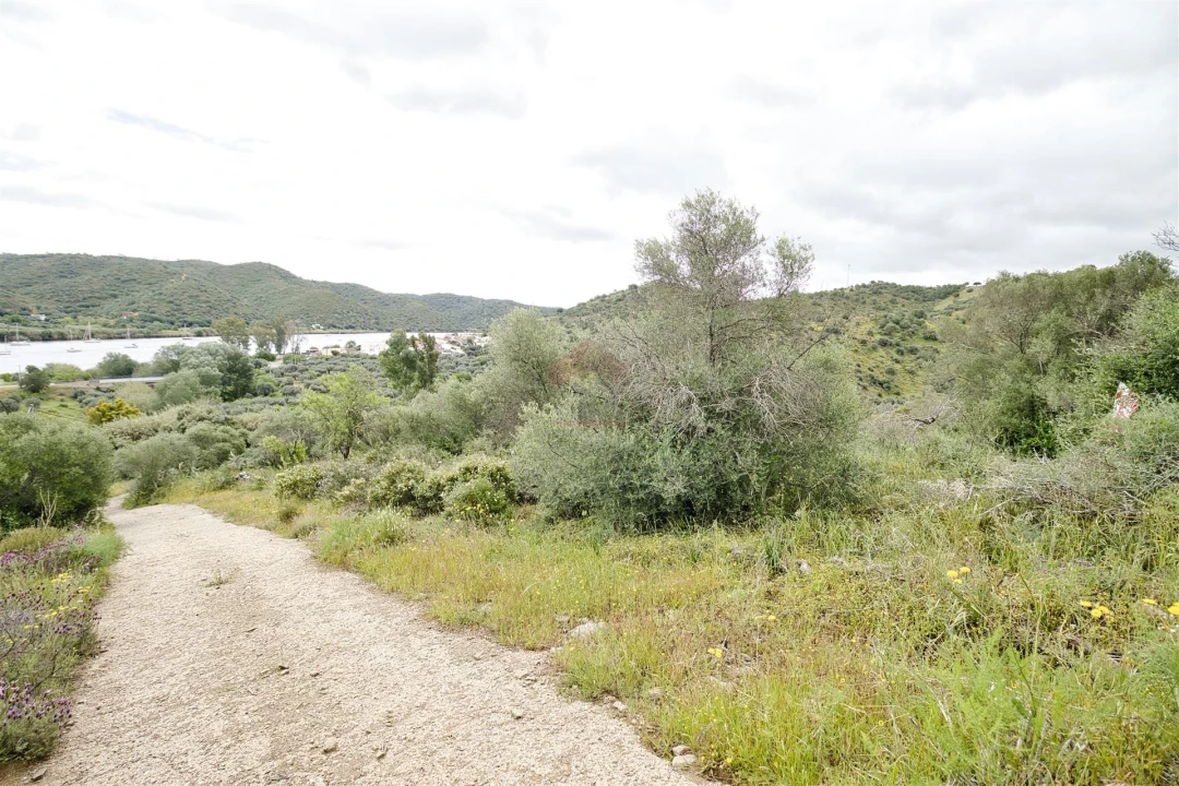 Terreno Agricola ou Rústico para Venda em Alcoutim e Pereiro Foto 1