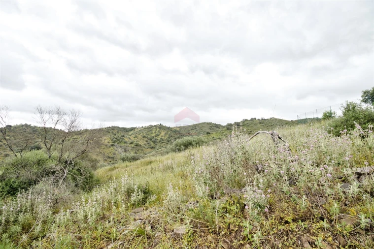 Terreno Agricola ou Rústico para Venda em Alcoutim e Pereiro Foto 2