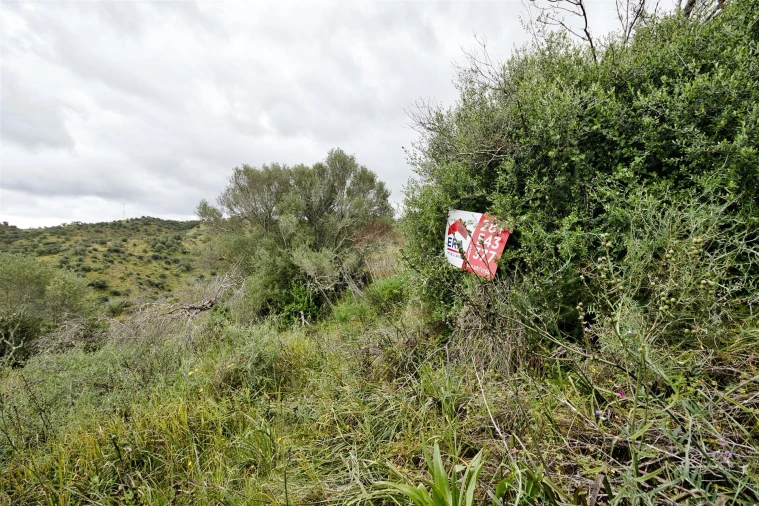 Terreno Agricola ou Rústico para Venda em Alcoutim e Pereiro Foto 6
