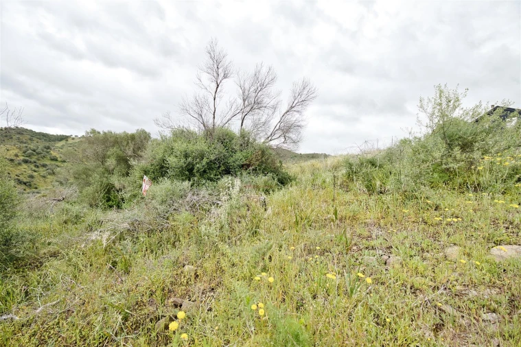 Terreno Agricola ou Rústico para Venda em Alcoutim e Pereiro Foto 3