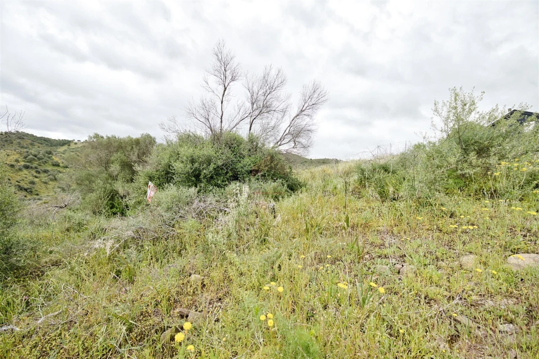 Terreno Agricola ou Rústico para Venda em Alcoutim e Pereiro Foto 3