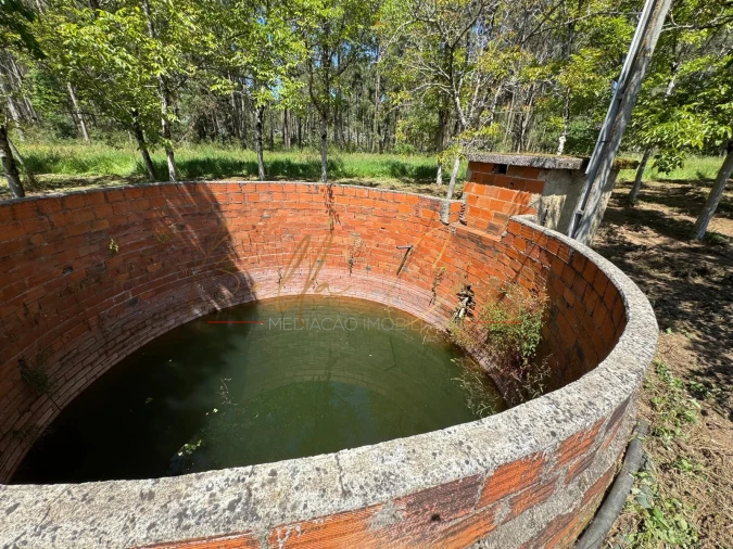Terreno Agricola ou Rústico para Venda em Tamengos, Aguim e Óis do Bairro Foto 7