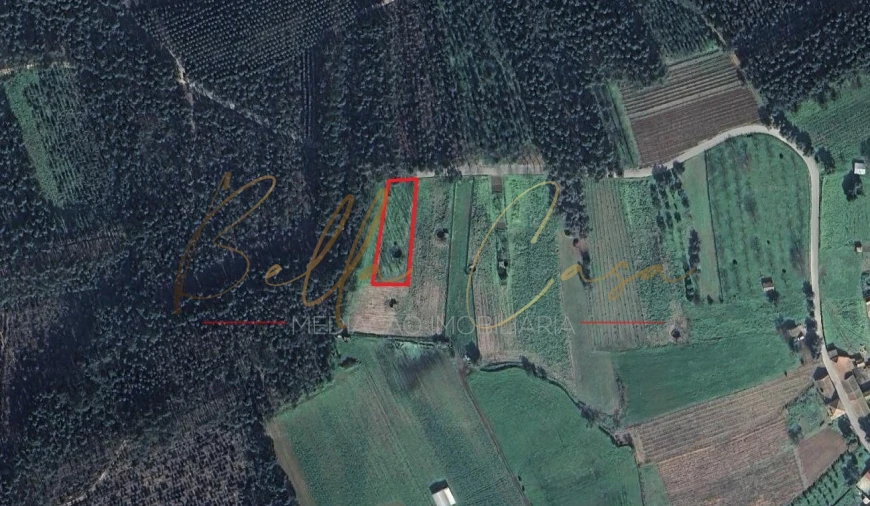 Terreno Agricola ou Rústico para Venda em Tamengos, Aguim e Óis do Bairro Foto 9