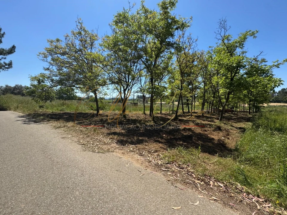 Terreno Agricola ou Rústico para Venda em Tamengos, Aguim e Óis do Bairro Foto 5