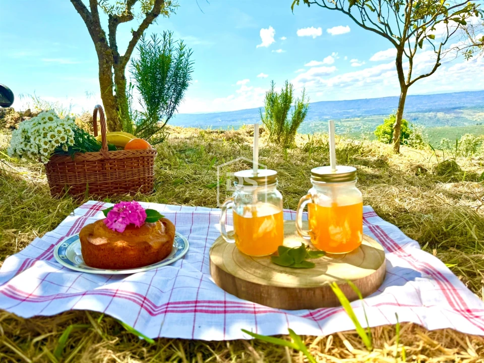 Moradia T1 para Venda em Cortiçô da Serra, Vide Entre Vinhas e Salgueirais Foto 43