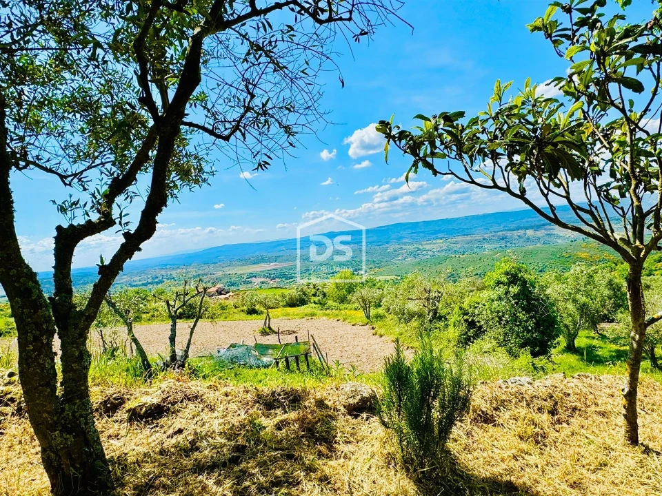 Moradia T1 para Venda em Cortiçô da Serra, Vide Entre Vinhas e Salgueirais Foto 4