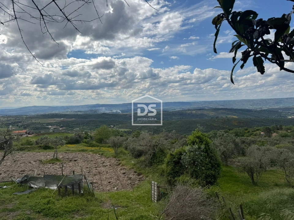 Moradia T1 para Venda em Cortiçô da Serra, Vide Entre Vinhas e Salgueirais Foto 14