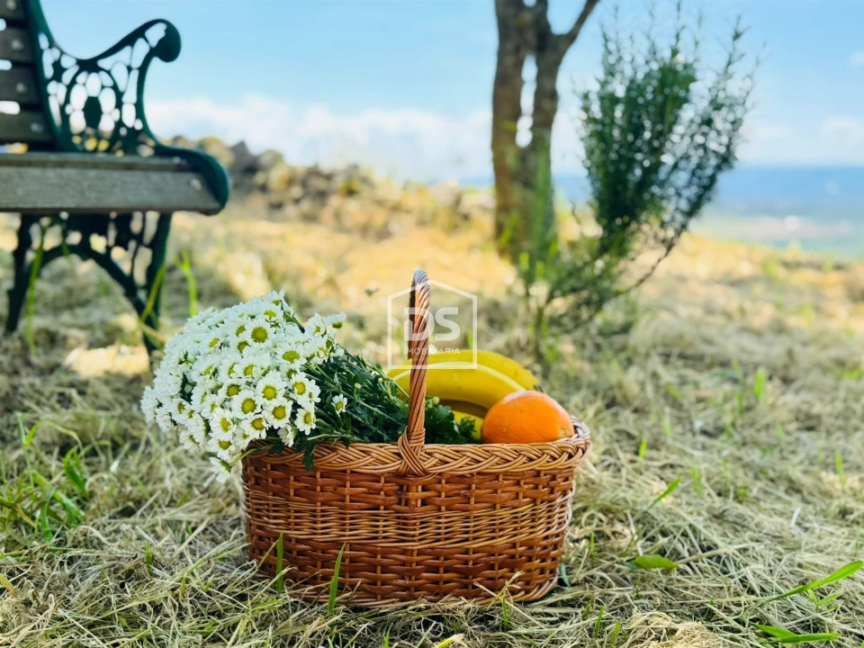 Moradia T1 para Venda em Cortiçô da Serra, Vide Entre Vinhas e Salgueirais Foto 48