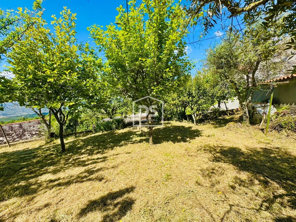 Moradia T1 para Venda em Cortiçô da Serra, Vide Entre Vinhas e Salgueirais Foto 46