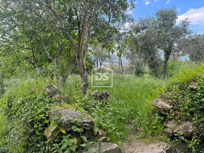 Moradia T1 para Venda em Cortiçô da Serra, Vide Entre Vinhas e Salgueirais Foto 51