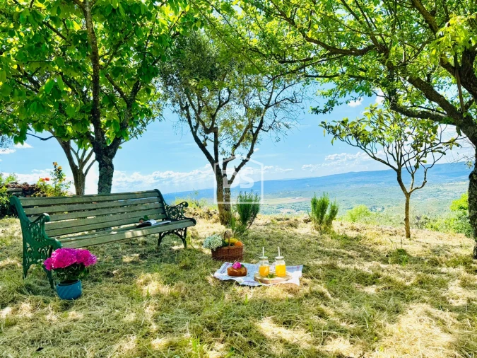 Moradia T1 para Venda em Cortiçô da Serra, Vide Entre Vinhas e Salgueirais Foto 2