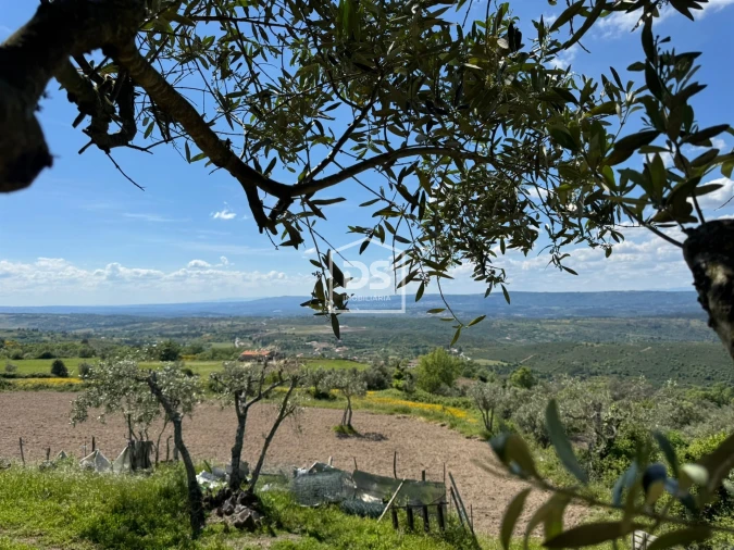 Moradia T1 para Venda em Cortiçô da Serra, Vide Entre Vinhas e Salgueirais Foto 37