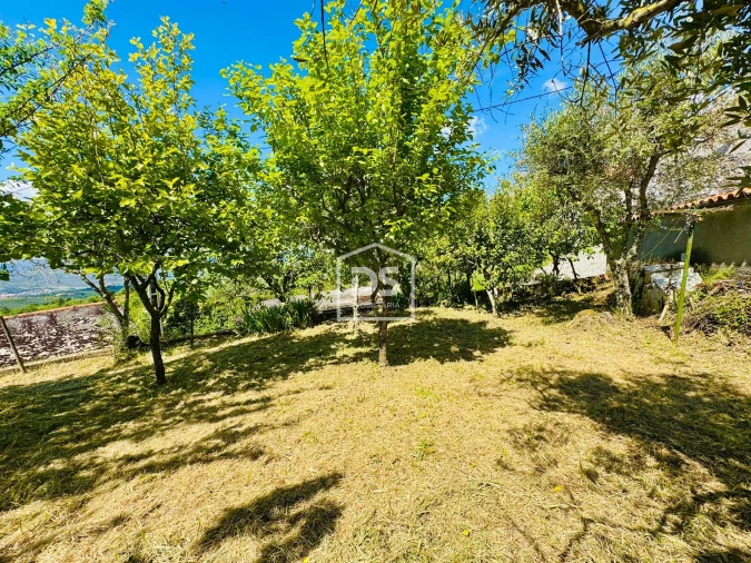 Moradia T1 para Venda em Cortiçô da Serra, Vide Entre Vinhas e Salgueirais Foto 46
